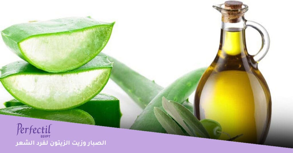الصبار وزيت الزيتون لفرد الشعر