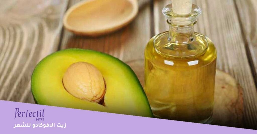 زيت الافوكادو للشعر