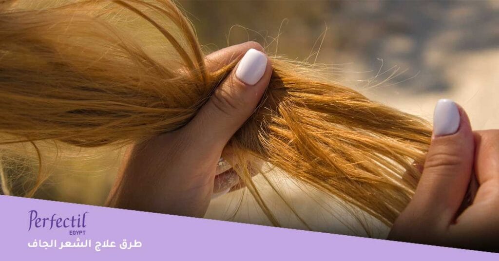 طرق علاج الشعر الجاف