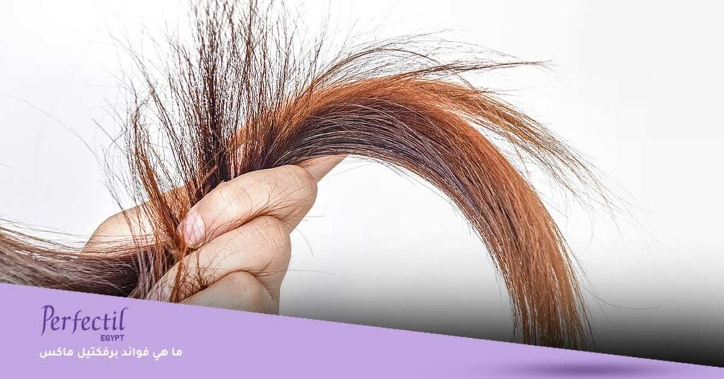 ما هي فوائد برفكتيل ماكس