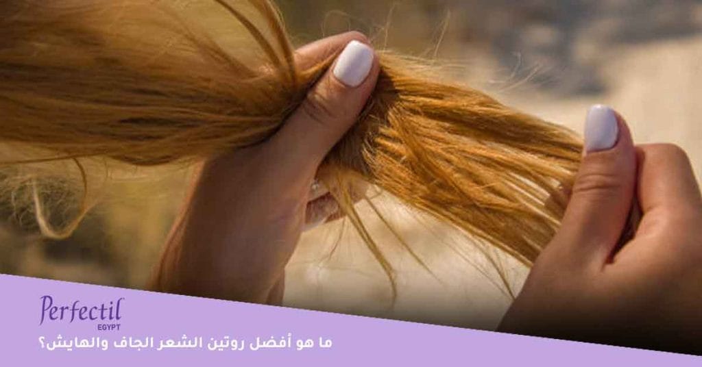 ما هو أفضل روتين الشعر الجاف والهايش؟