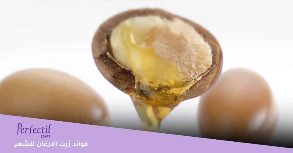 فوائد زيت الارغان للشعر