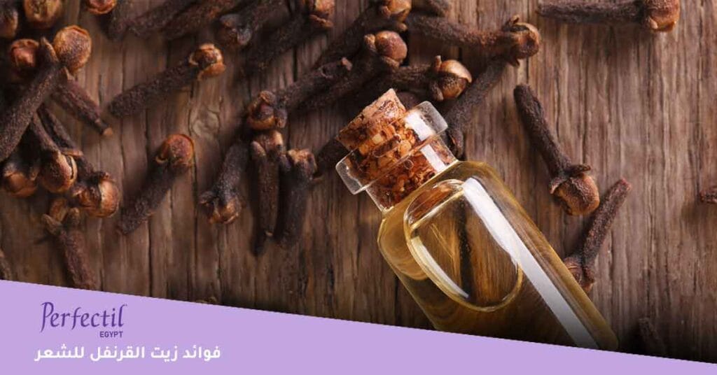 ما هي فوائد زيت القرنفل للشعر ؟
