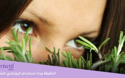 تجربتي مع الروزماري لتطويل الشعر .. ما الحقيقة وراء استخدام الروزماري للشعر؟