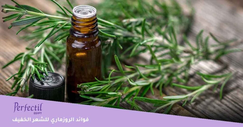 ما فوائد الروزماري للشعر الخفيف وعلاج التساقط؟