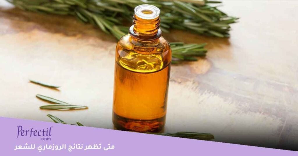 متى تظهر نتائج الروزماري للشعر؟