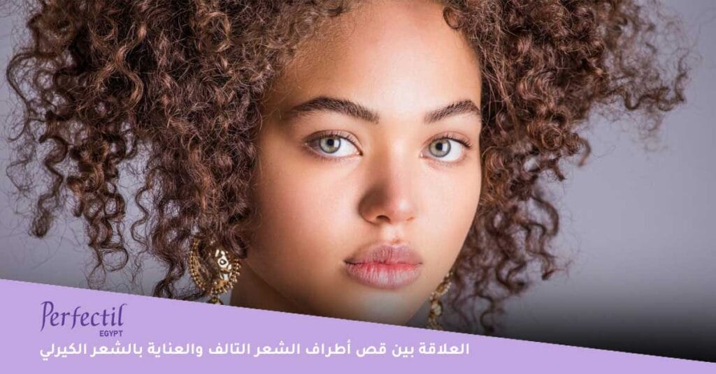 العلاقة بين قص أطراف الشعر التالف والعناية بالشعر الكيرلي الجاف