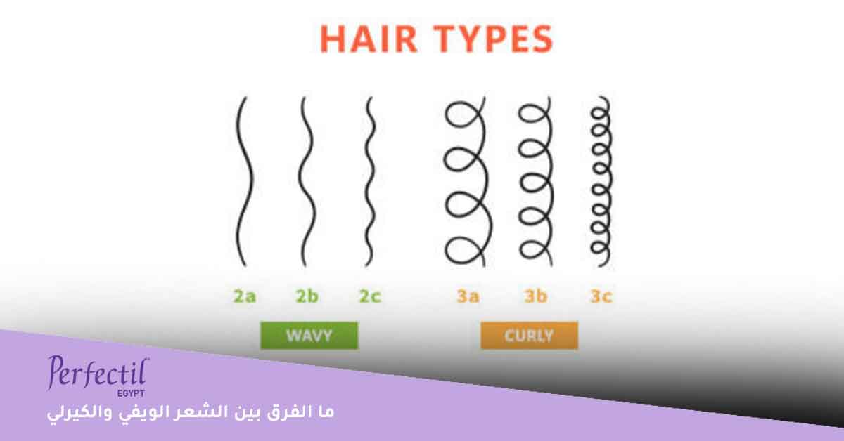 ما الفرق بين الشعر الويفي والكيرلي وكيفية العناية بكل نوع؟