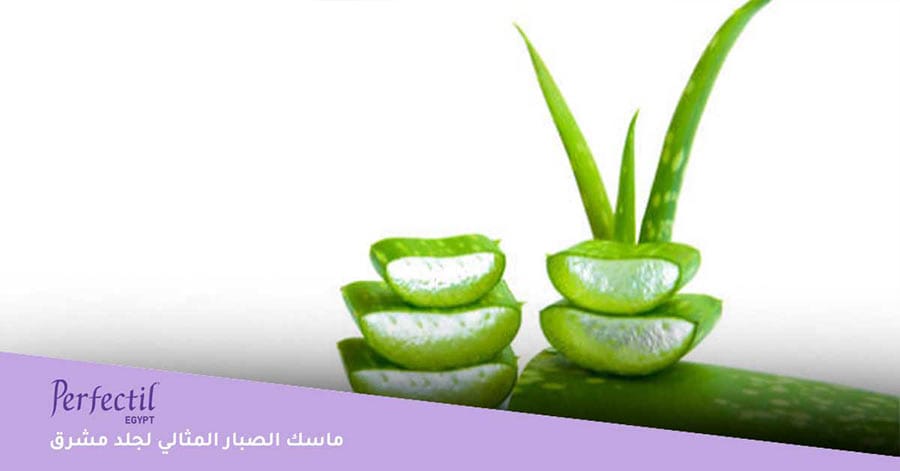 ماسك الصبار المثالي لجلد مشرق