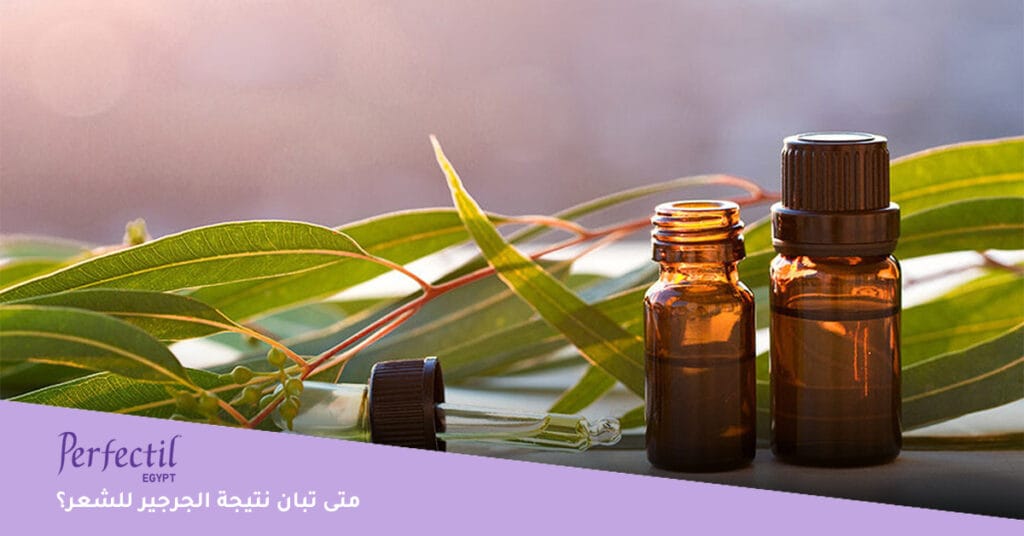 متى تبان نتيجة الجرجير للشعر؟ | فوائد زيت الجرجير للشعر | متى تبان نتيجة الجرجير للشعر؟ الجرجير لانبات الشعر