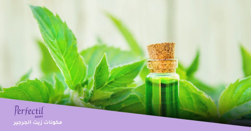 مكونات زيت الجرجير \ تجارب زيت الجرجير للشعر 