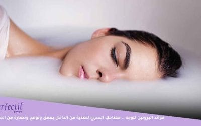 فوائد البروتين للوجه | مفتاحكِ السري لتغذية من الداخل بعمق وتوهج ونضارة من الخارج