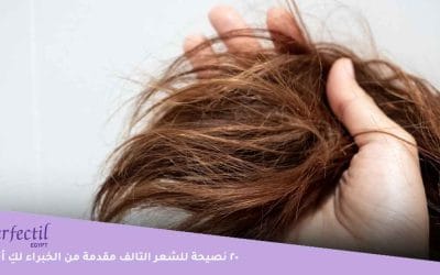 20 نصيحة للشعر التالف والجاف والمتساقط والخفيف