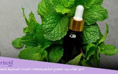تعرفي على فوائد زيت النعناع للشعر وكيف يعالج القشرة والتهابات الرأس