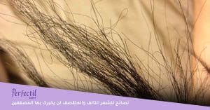 نصائح للشعر التالف والمتقصف لن يخبرك بها المصففين